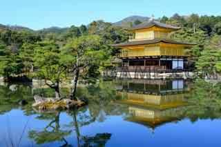 Capture d'écran du niveau 94 pour cent