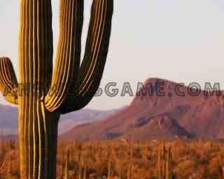 Captura de pantalla del nivel 94 por ciento