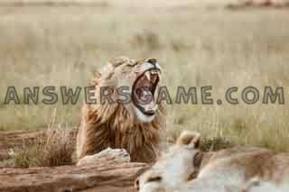 Capture d'écran du niveau 94 pour cent