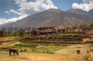 Capture d'écran du niveau 94 pour cent