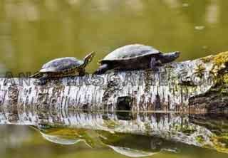 Captura de pantalla del nivel 94 por ciento