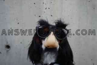 Capture d'écran du niveau 94 pour cent