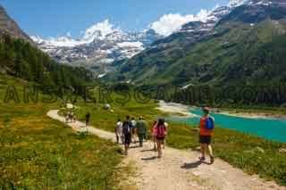 Screenshot des Levels 94 Prozent