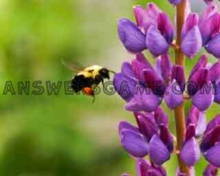 Screenshot des Levels 94 Prozent