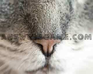 Screenshot des Levels 94 Prozent