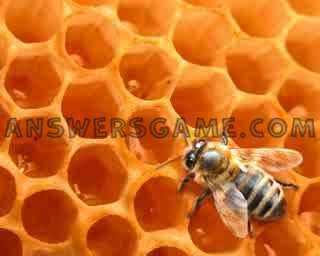 Screenshot des Levels 94 Prozent