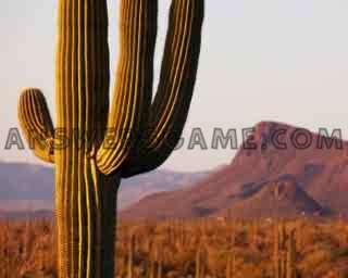 Screenshot des Levels 94 Prozent