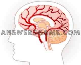 Yüzde 94 seviyesinin ekran görüntüsü