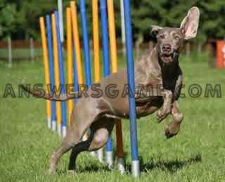 Screenshot des Levels 94 Prozent