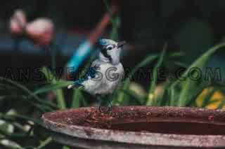 Captura de tela do nível 94 por cento