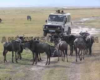 Captura de pantalla del nivel 94 por ciento