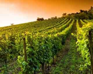 Captura de pantalla del nivel 94 por ciento