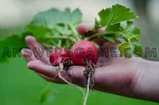 Screenshot of level 94 percent