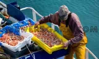 Screenshot des Levels 94 Prozent