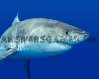 Capture d'écran du niveau 94 pour cent