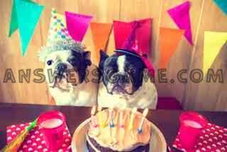 Screenshot des Levels 94 Prozent