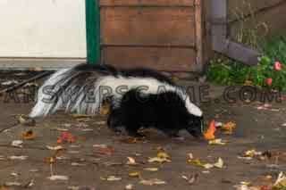 Captura de pantalla del nivel 94 por ciento