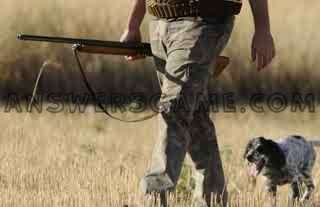 Screenshot des Levels 94 Prozent