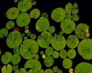 Yüzde 94 seviyesinin ekran görüntüsü