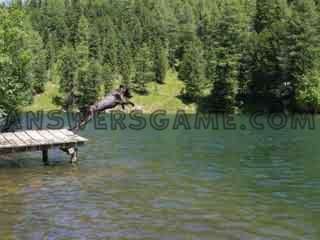 Screenshot des Levels 94 Prozent