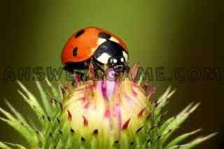 Screenshot des Levels 94 Prozent