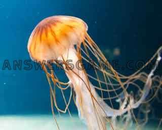 Yüzde 94 seviyesinin ekran görüntüsü