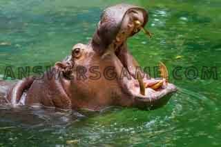 Screenshot des Levels 94 Prozent