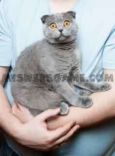 Captura de tela do nível 94 por cento