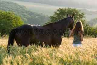 Screenshot des Levels 94 Prozent