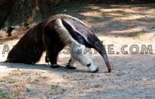 Screenshot des Levels 94 Prozent