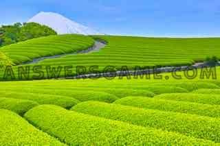 Screenshot des Levels 94 Prozent