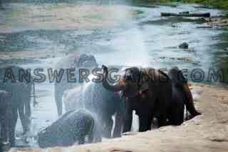 Captura de tela do nível 94 por cento