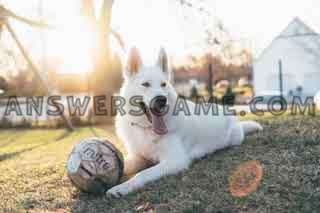 Capture d'écran du niveau 94 pour cent