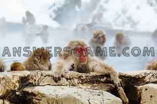 Capture d'écran du niveau 94 pour cent