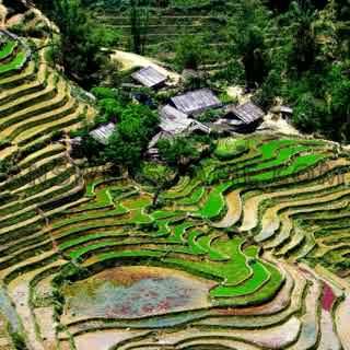 Capture d'écran du niveau 94 pour cent