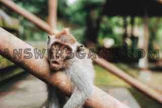 Screenshot of level 94 percent