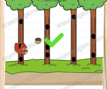 Emma hat von einem seltenen roten Eichhörnchen in diesem Wald gehört. Finde es. Brain Test 2 Level 13 Lösungen