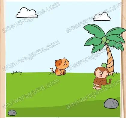 Rouky doit attraper le singe. Brain Test 2 Niveau 16 solution