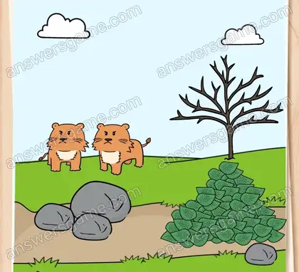 Les lions sont en colère après l’incident avec le lionceau. Brain Test 2 Niveau 19 solution