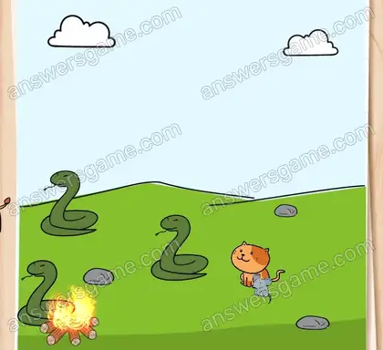 Attention ! Les serpents sentent la. Brain Test 2 Niveau 24 solution