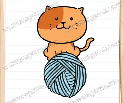 Rouky veut la plus grosse pelote. Brain Test 2 Niveau 4 solution