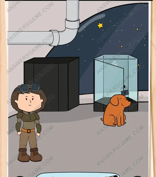 Pourquoi ce pauvre chien est-il en cage ? Hé ! Ne touchez à rien. Brain Test 3 Niveau 84