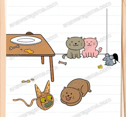 Jeden z moich kotów jest samotny. Pomóż. Brain Test 4 Poziom 52