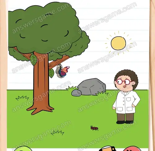 Dr. Kummer braucht einen Schmetterling für sein nächstes Experiment. Brain Test 4 Level 69