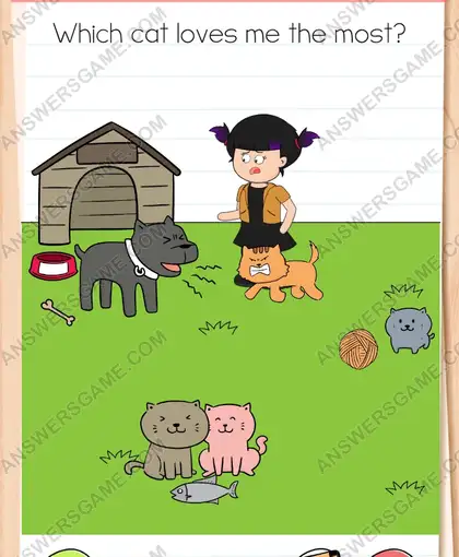 Which cat loves me the most. Brain Test 4 Level 183