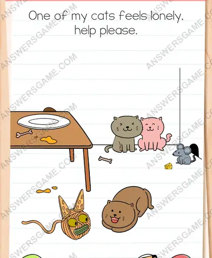One of my cats feels lonely, help please. Brain Test 4 Level 52
