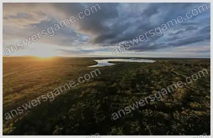 Mots croisés pour vous Niveau 10 Mots croisés 10