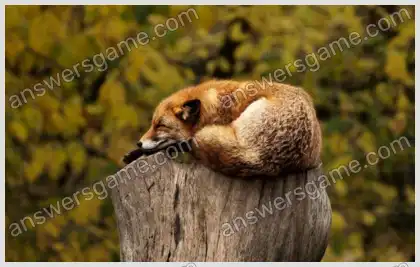 Mots croisés pour vous Niveau 10 Mots croisés 6