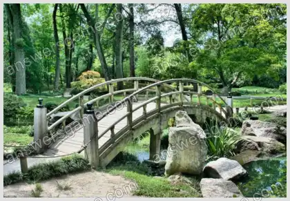 Mots croisés pour vous Niveau 11 Mots croisés 1