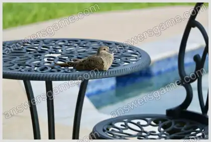 Kreuzworträtsel für Sie Ebene 15 Kreuzworträtsel 3